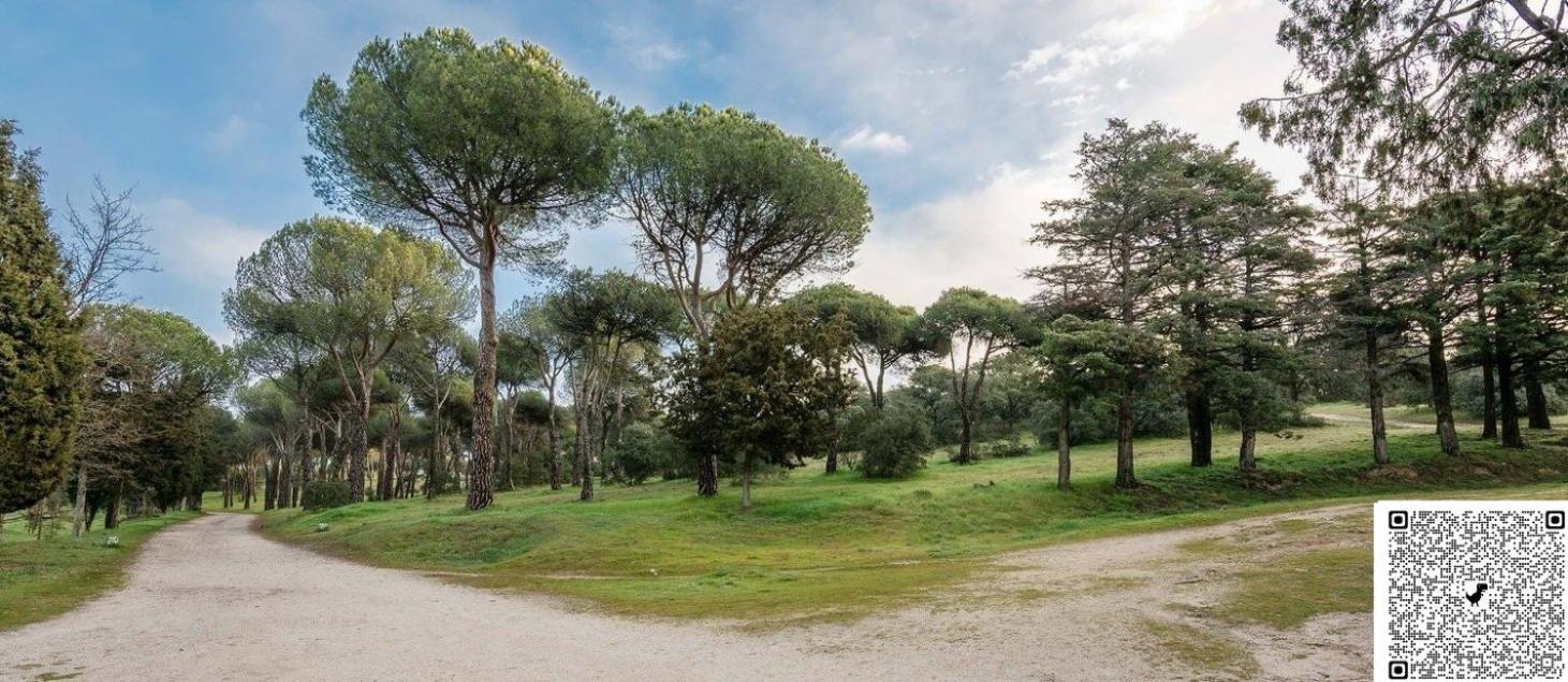 Apartamento Las Rozas Centro Con Parking Incluido Экстерьер фото